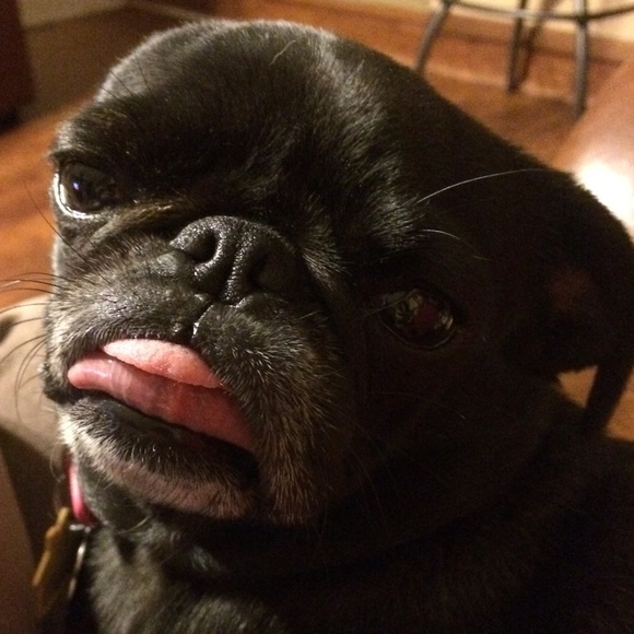 Meet your Posher, Tina - Picture 14 of 16